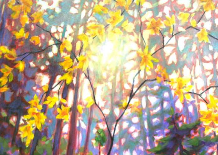 forest-detail